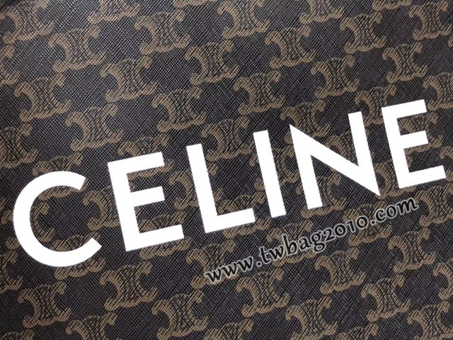 Celine專櫃2023新款手提托特包 191542 賽琳CABAS TRIOMPHE帆布小號豎款手袋 sldj2219